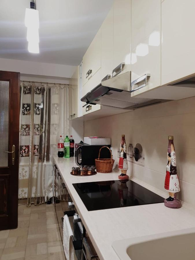 Pensiunea Iulia Rod Buitenkant foto