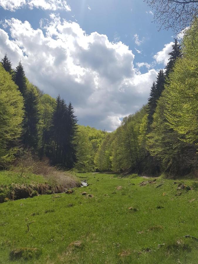 Pensiunea Iulia Rod Buitenkant foto