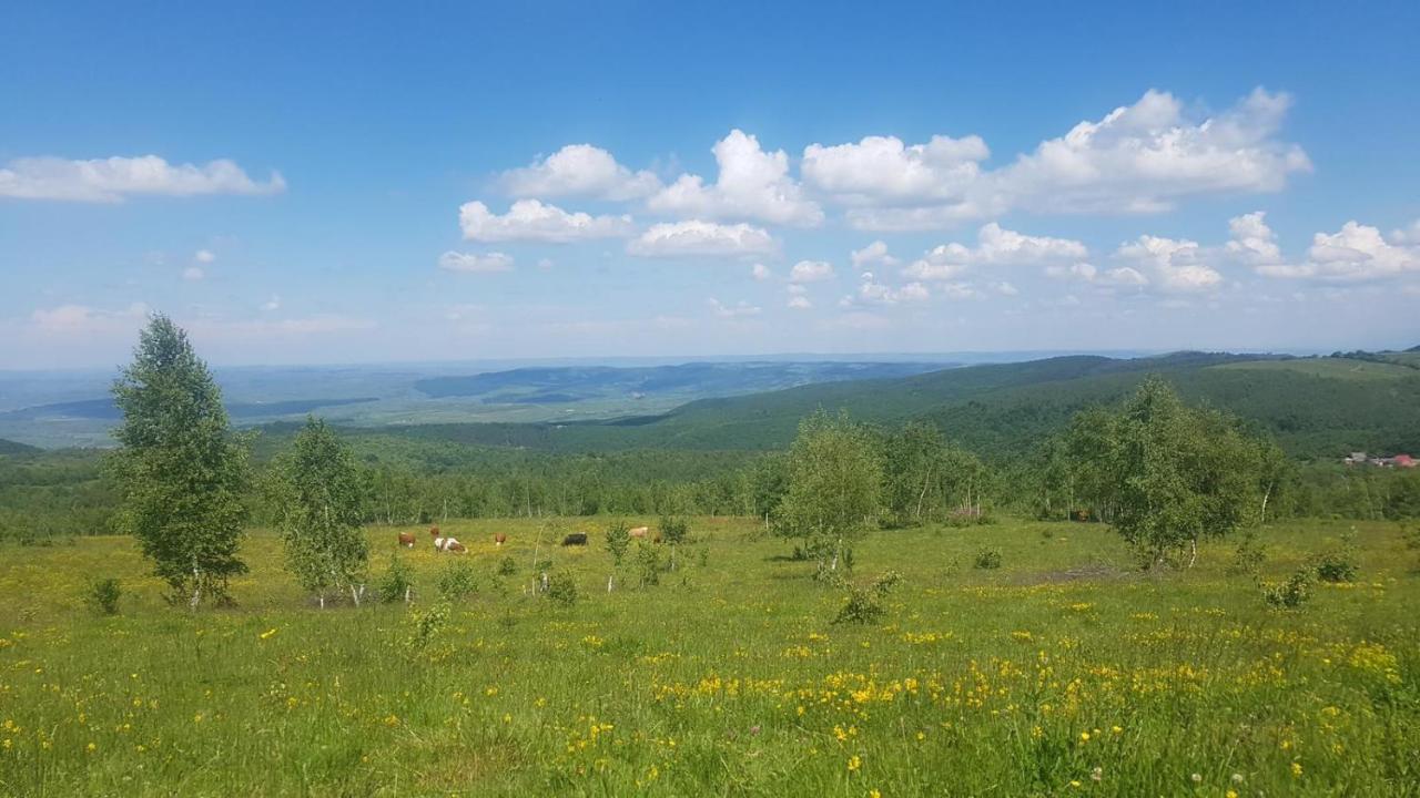Pensiunea Iulia Rod Buitenkant foto