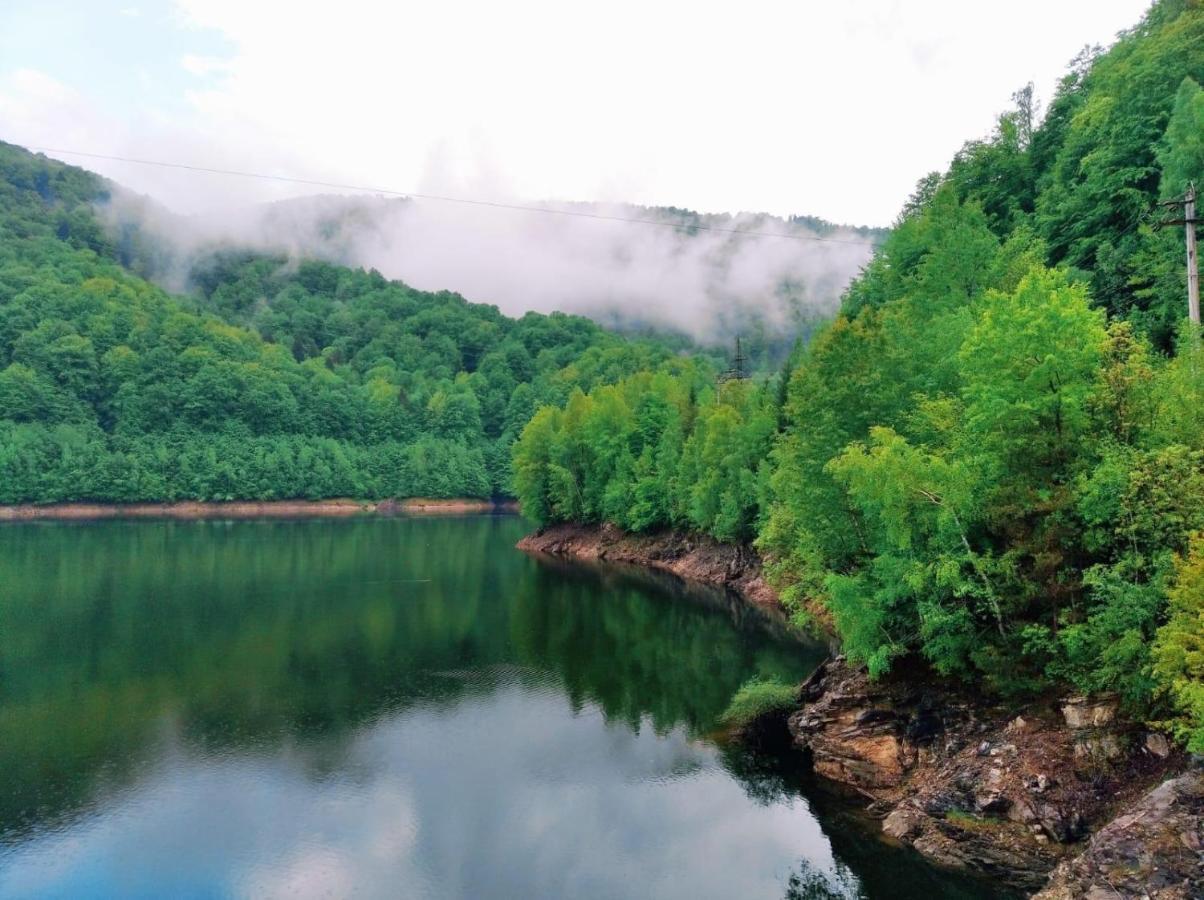 Pensiunea Iulia Rod Buitenkant foto