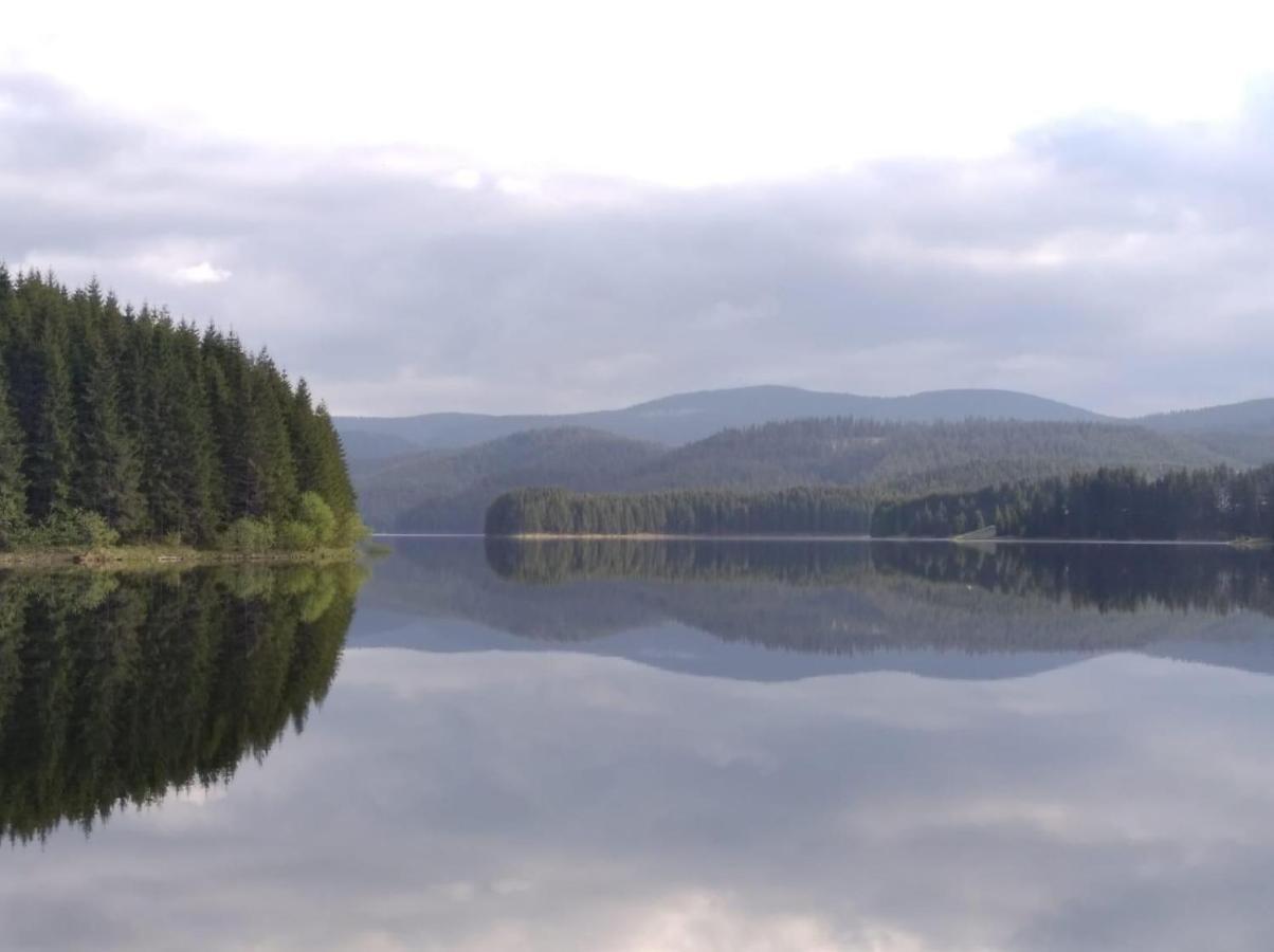 Pensiunea Iulia Rod Buitenkant foto