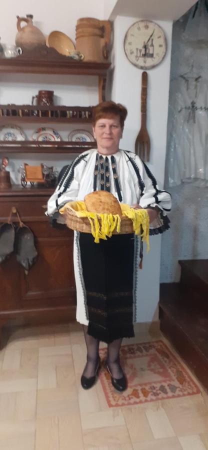 Pensiunea Iulia Rod Buitenkant foto