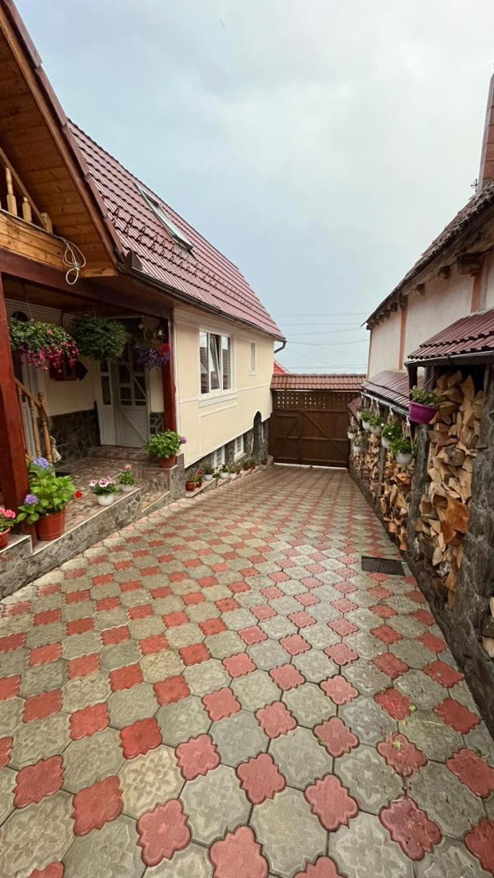 Pensiunea Iulia Rod Buitenkant foto